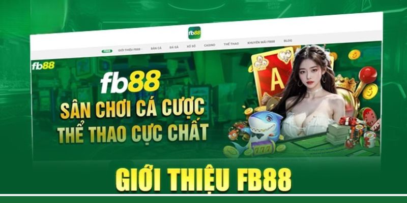 tin-tuc-fb88